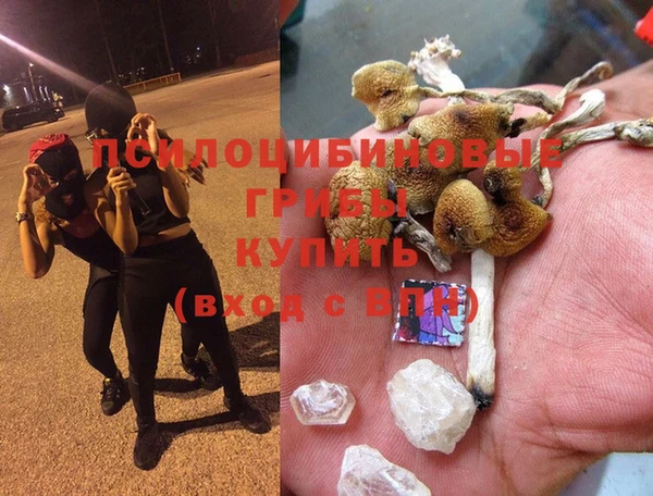 первитин Алексин
