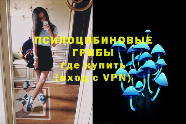 первитин Алексин